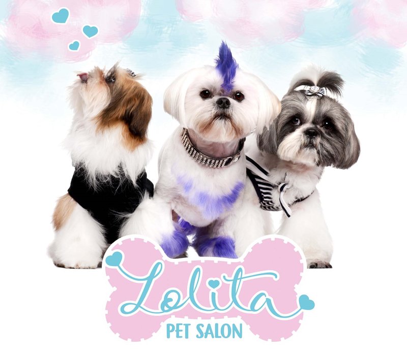 Lolita Pet Salon - Salon cosmetica animale